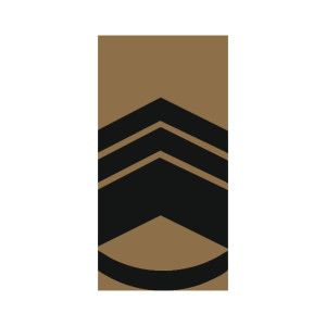 Шеврон Погон старший мастер сержант Хищник (AN-12-27-34). Photo 3