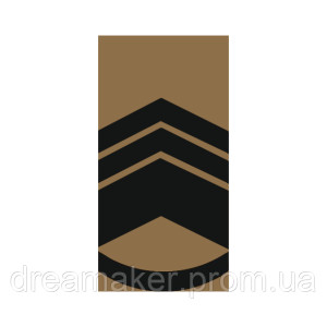 Погон старший мастер сержант (AN-12-27-35). Photo 3