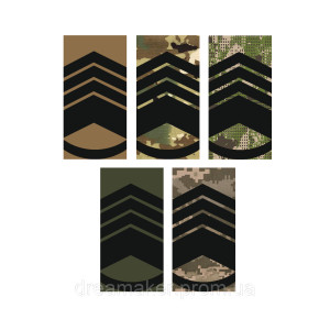 Шеврон Погон главный мастер сержант (AN-12-27-37)