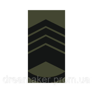 Шеврон Погон главный мастер сержант (AN-12-27-39)