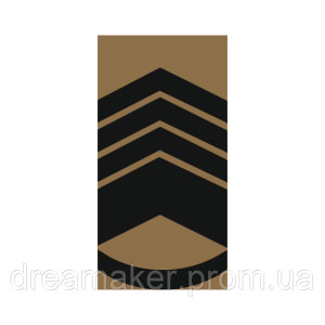 Шеврон Погон главный мастер сержант хищник (AN-12-27-40). Photo 3