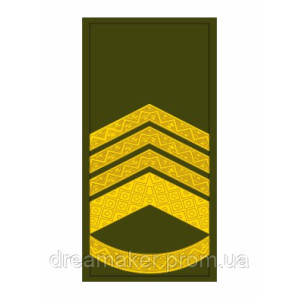 Погон главный мастер сержант (AN-12-27-41). Photo 3