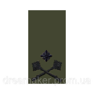 Шеврон Погон бригадный генерал койот (AN-12-27-44). Photo 3