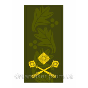 Шеврон Погон бригадный генерал хищник (AN-12-27-46). Photo 3