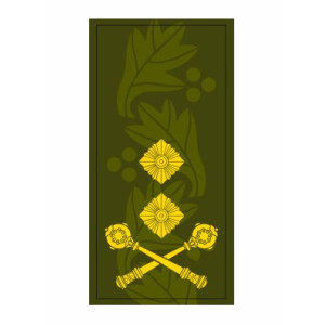 Шеврон Погон генерал-майор хищник (AN-12-27-52). Photo 3