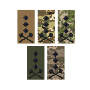 Шеврон Погон генерал-лейтенант койот (AN-12-27-56). Photo 2