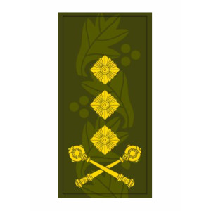 Шеврон Погон генерал-лейтенант хищник (AN-12-27-58). Photo 3