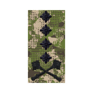 Шеврон Погон генерал хищник (AN-12-27-65)