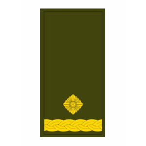 Шеврон Погон майор хищник (AN-12-27-76). Photo 3