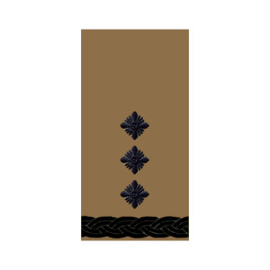 Шеврон Погон полковник койот (AN-12-27-86)