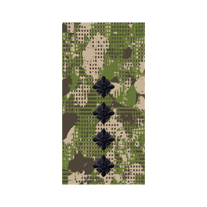 Шеврон Погон капитан хищник (AN-12-27-106)