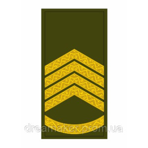 Шеврон Погон главный сержант хищник (AN-12-27-16). Photo 3
