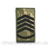 Шеврон Погон главный сержант (AN-12-27-17)