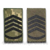 Шеврон Погон главный сержант (AN-12-27-17)