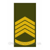 Шеврон Погон главный сержант (AN-12-27-109)