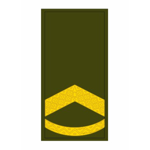 Шеврон Погон штаб сержант (AN-12-27-111)