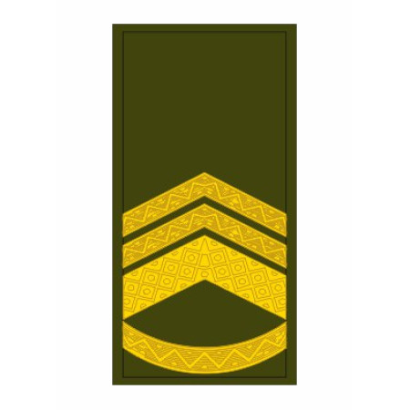 Шеврон Погон старший майстер сержант (AN-12-27-112)
