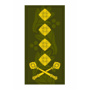 Шеврон Погон генерал (AN-12-27-117)