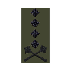 Шеврон Погон генерал (AN-12-27-117). Photo 3