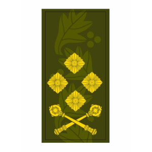 Шеврон Погон генерал-полковник (AN-12-27-118)