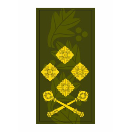 Шеврон Погон генерал-полковник (AN-12-27-118)