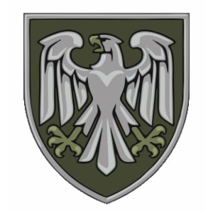 Шеврон ДШВ 82 ОДШБр Польовий (AN-12-256-3)