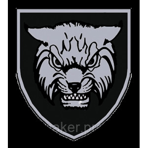 Шеврон 1-й горно-штурмовой батальон Рысь 128-й ОГШБр (1 ГШБ 128 ОГШБр) (AN-12-697)