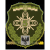 Шеврон 5-й отдельный полк связи (5 ОПЗ) (AN-12-700)