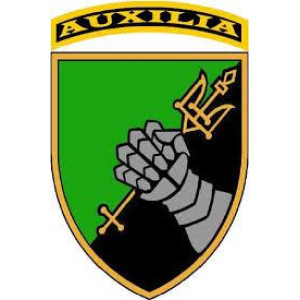 Шеврон 12-й отдельный танковый батальон (12-й ОТБ) (AN-12-703)