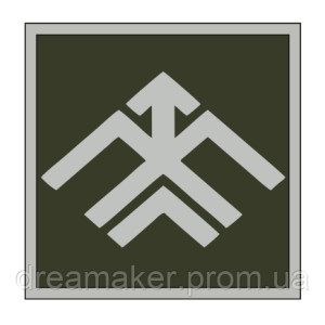 Шеврон 13-а бригада оперативного призначення "Хартія" НГУ (13 БрОН) (AN-12-737). Photo 2