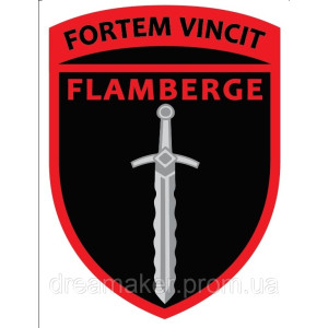 Шеврон 120-й отдельный разведывательный батальон (120 ОРБ) Flamberge (AN-12-489-6). Photo 2