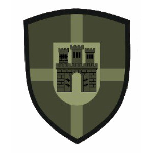 Шеврон Житомирский ОТЦК и СП (AN-12-324-27)