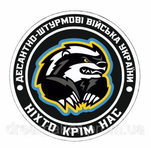 Шеврон ДШВ "Ніхто крім нас" борсук Десантно-штурмові війська (AN-12-169-6)