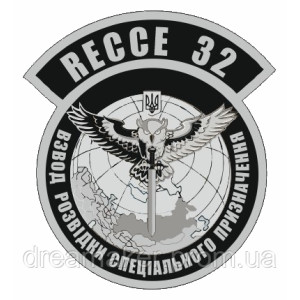 Шеврон "Взвод разведки специального назначения RECCE 32" сова (AN-12-209-4)