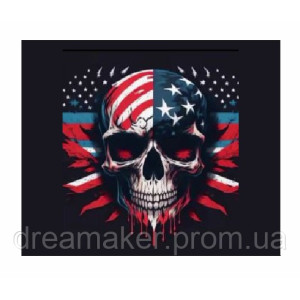 Шеврон череп и флаг США Американский каратель (AN-12-537-20)