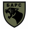 Шеврон "Барс" (AN-12-662-3)