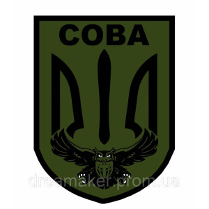 Шеврон Военная разведка "Сова" (AN-12-446-11). Photo 2