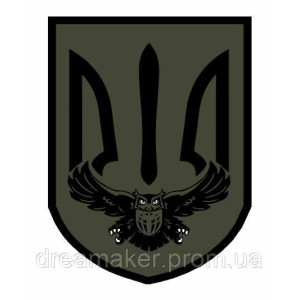 Шеврон Военная разведка "Сова" (AN-12-446-11)