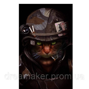 Шеврон "Котик ВСУ" (AN-12-865)