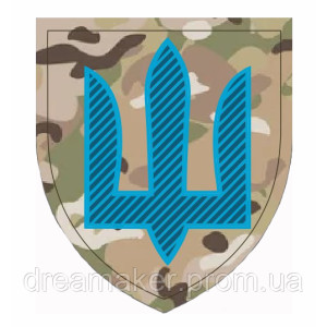 Шеврон механизированные войска Койот (AN-13-16-4). Photo 2