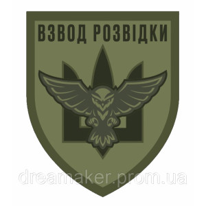Шеврон "Взвод разведки Украины" сова тризуб Полевой (AN-12-209-6)