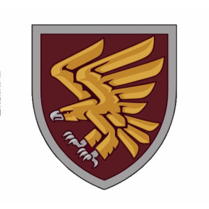 Шеврон ДШВ 95 ОДШБр Парадний Мінометники (AN-12-260-2). Photo 2