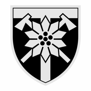 Шеврон 128 ОГШБ горно-штурмовая бригада (AN-12-558-41). Photo 2