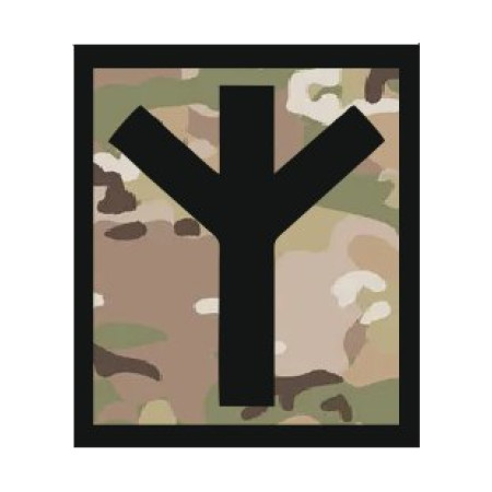 Шеврон руна Альгіз "algiz rune" (AN-12-1039)