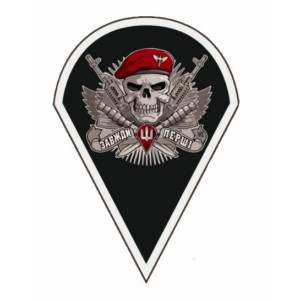 Шеврон Череп ДШВ "Завжди перші" (AN-13-154-2). Photo 2