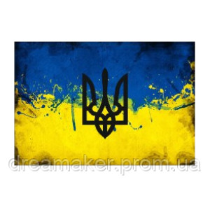 Шеврон флаг и тризуб Украины (AN-12-2-41)