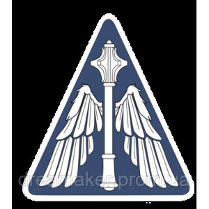 Шеврон Воздушные силы Украины (AN-12-1079). Photo 3