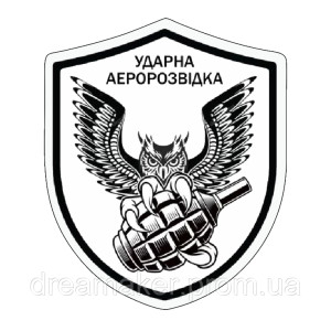 Шеврон Сова с гранатой "ударная аэроразведка" (AN-12-1117)