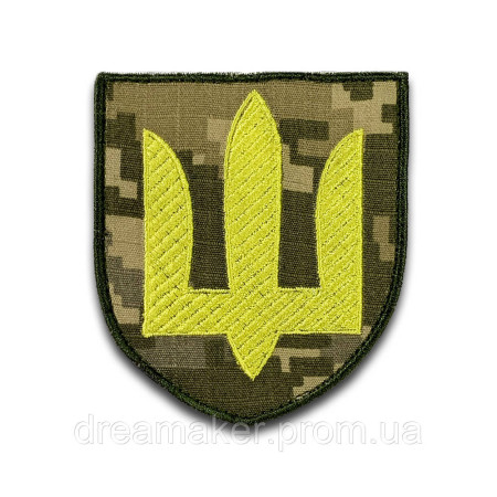Шеврон сухопутні війська (ВШ-19)