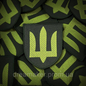 Шеврон сухопутные войска (вш-СВ)